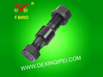 Rear Wheel Bolt (DXE052)