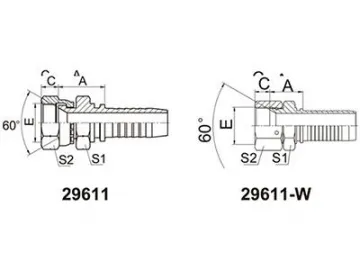 29611(W) BSP Female 60° Cone Fittings