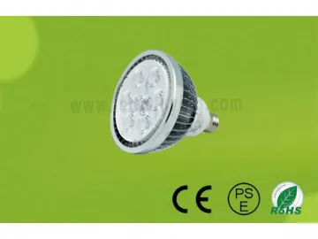 PAR38 LED Spotlight