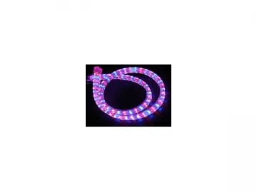 LED Rope Light RL-3