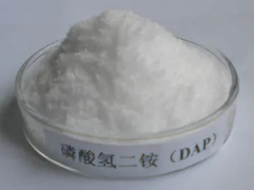 Diammonium Phosphate (DAP)