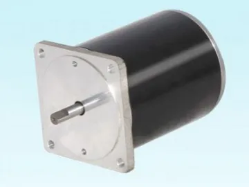 80ZY100 Permanent Magnet DC Motor