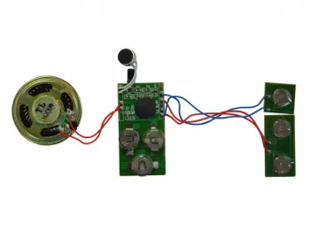 ESYS-2005 Recordable Voice Chip