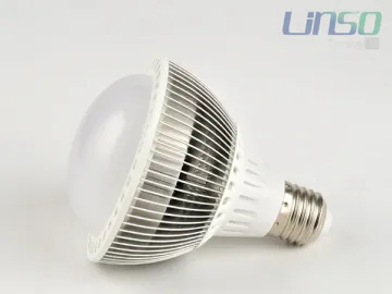 LED PAR Light