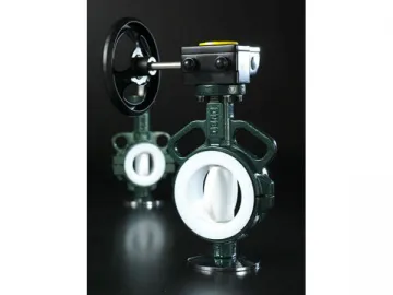 RBV060 Series PTFE Lined Wafer Resilient Seated Butterfly Valve