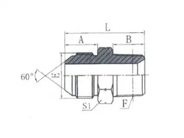 1ST BSPT Male 60˚ Cone Hose Adapter, JIS Standard