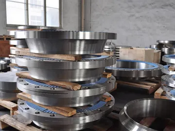 Stainless Steel Forging