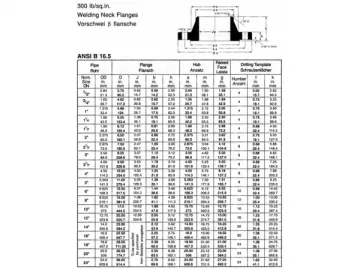 ANSI B16.5 Weld Neck Flange