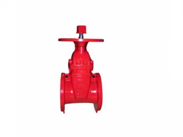 NRS Gate Valve with Top Mounted Flange