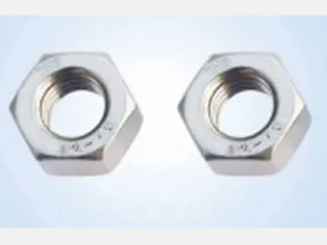 Stainless Steel Hex Nut