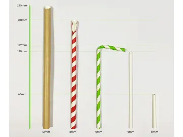 Paper Straws