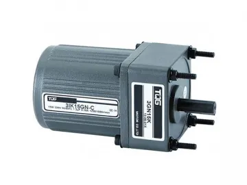 Micro AC Induction Gear Motor