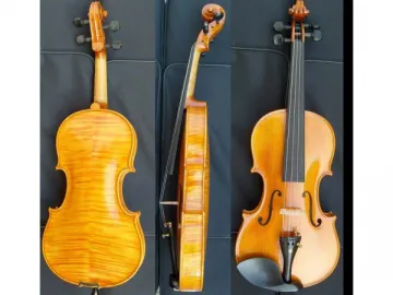 High Grade Violin