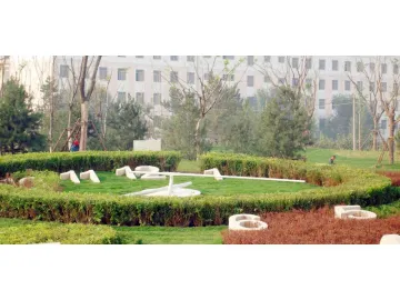 Floral Clock in A Garden