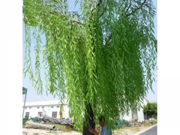 Artificial Willow Tree