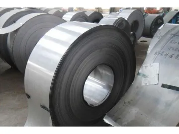 Hot Rolled 309S Stainless Steel Coil