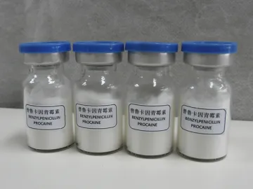 Penicillin G Procaine